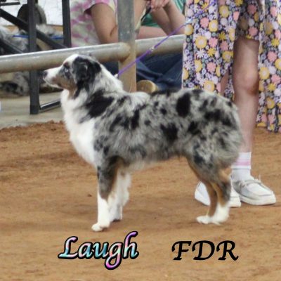 Laugh 6