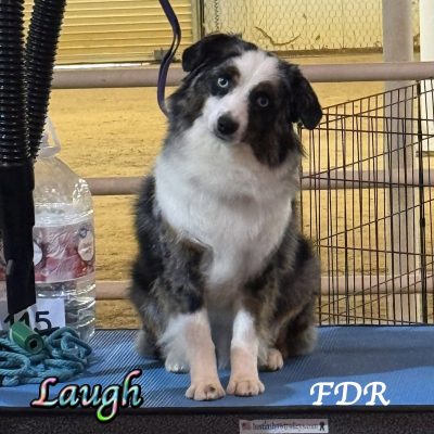 Laugh 8