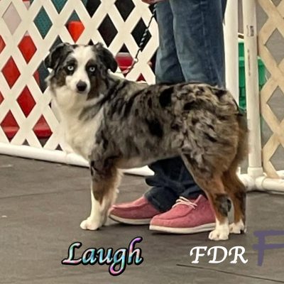 Laugh 9