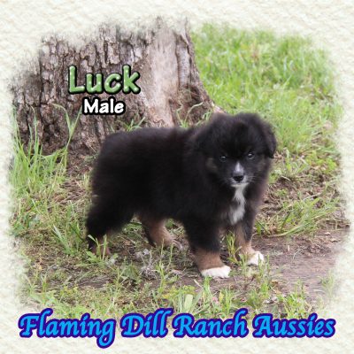 Luck 10