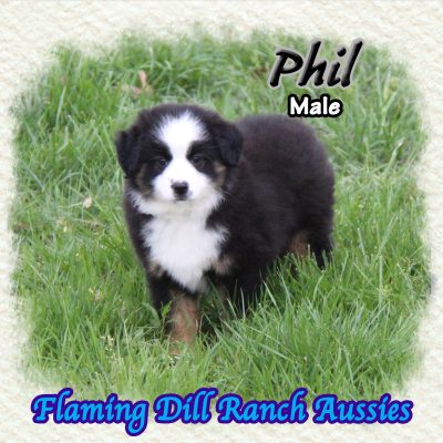 Phil 10