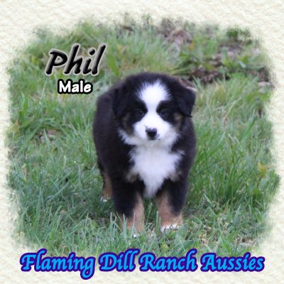 Phil 12