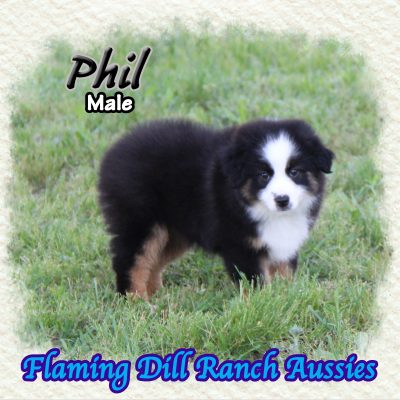 Phil 14