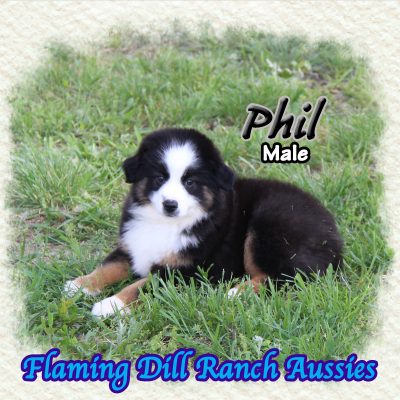 Phil 16