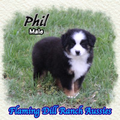 Phil 9