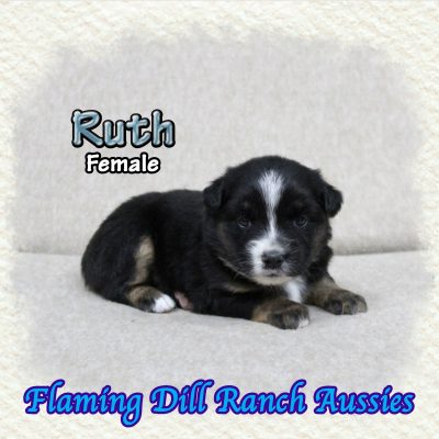 Ruth 1