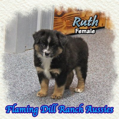Ruth 10