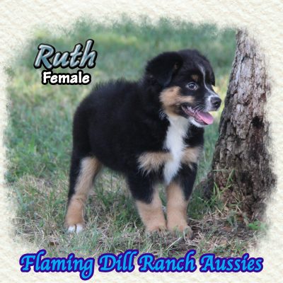Ruth 16