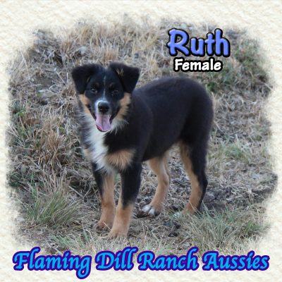 Ruth 18