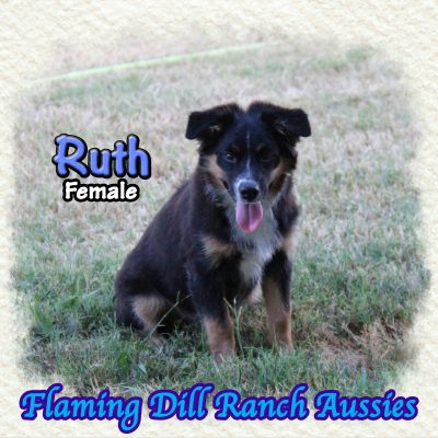 Ruth 19