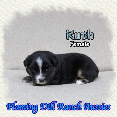 Ruth 2