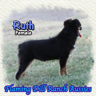 Ruth 20