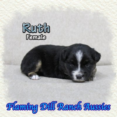 Ruth 3