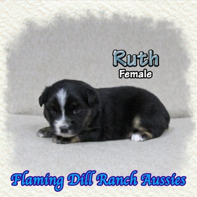 Ruth 4