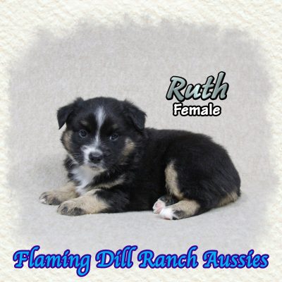 Ruth 6