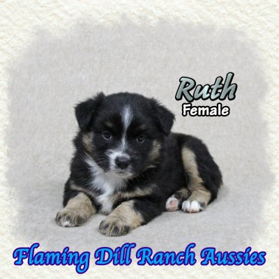 Ruth 8