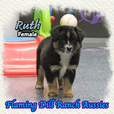 Ruth 9