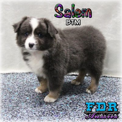 Salem 14