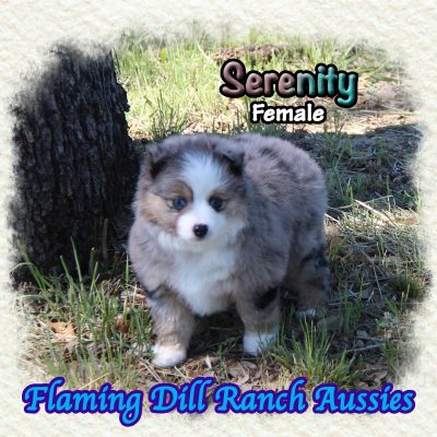 Serenity 10