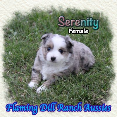 Serenity 5