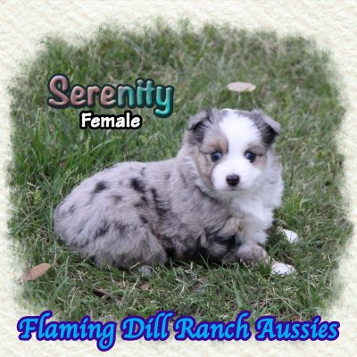 Serenity 6