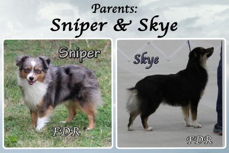 Sniper & Skye