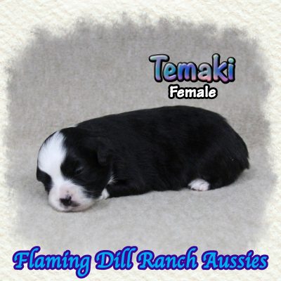Temaki 2