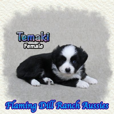 Temaki 5