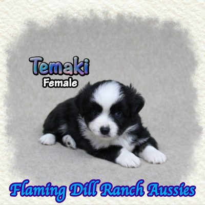 Temaki 7