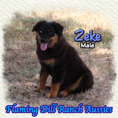 Zeke 23