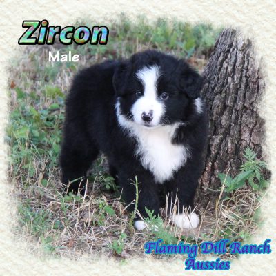 Zircon 10