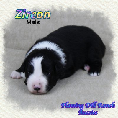 Zircon 4