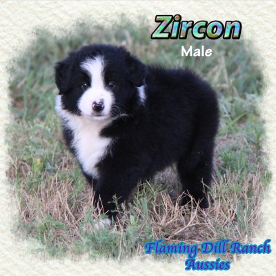 Zircon 9